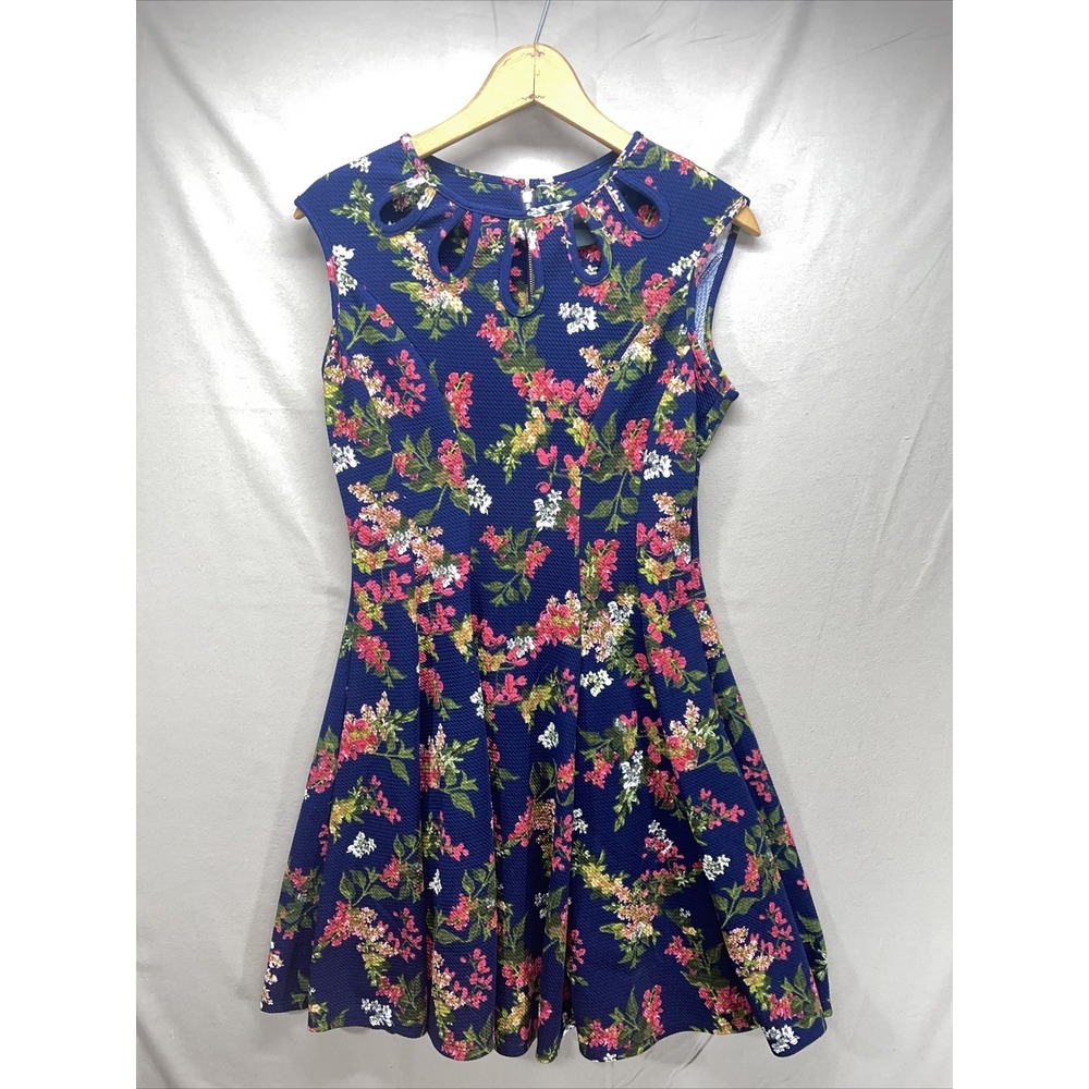 Gabby + Skye Fit & Flare Beautiful Floral Blue Dress - Size 6